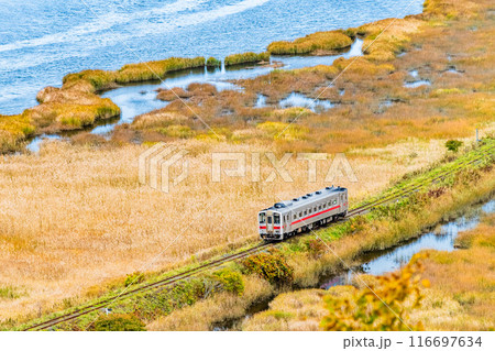 北海道 花咲線　秋色の別寒辺牛湿原を行く列車 116697634