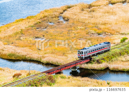 北海道 花咲線　秋色の別寒辺牛湿原を行く列車 116697635