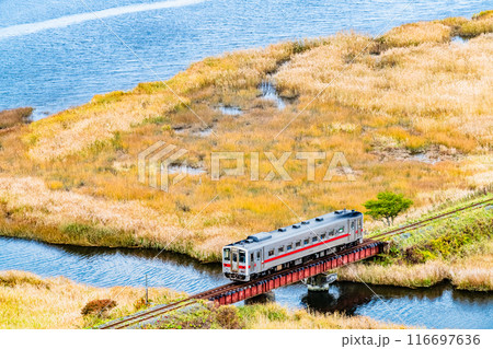 北海道 花咲線　秋色の別寒辺牛湿原を行く列車 116697636