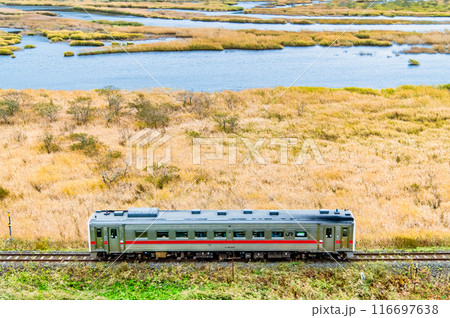 北海道 花咲線　秋色の別寒辺牛湿原を行く列車 116697638