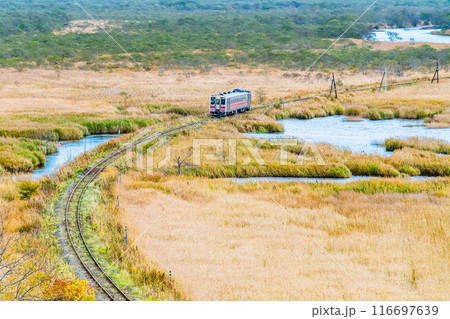 北海道 花咲線　秋色の別寒辺牛湿原を行く列車 116697639