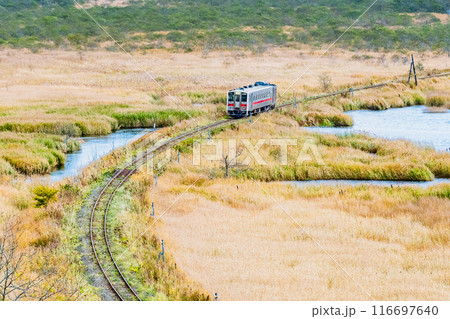 北海道 花咲線　秋色の別寒辺牛湿原を行く列車 116697640
