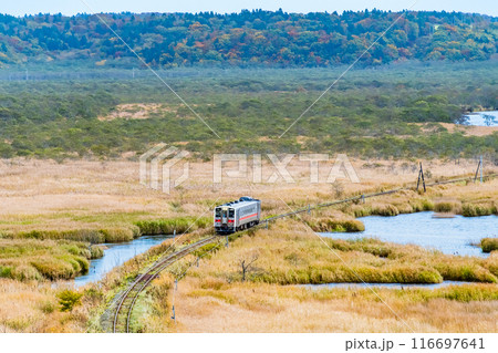 北海道 花咲線　秋色の別寒辺牛湿原を行く列車 116697641