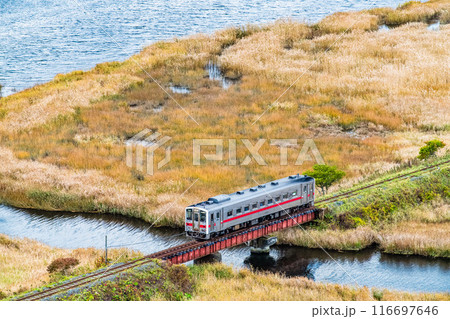 北海道 花咲線　秋色の別寒辺牛湿原を行く列車 116697646