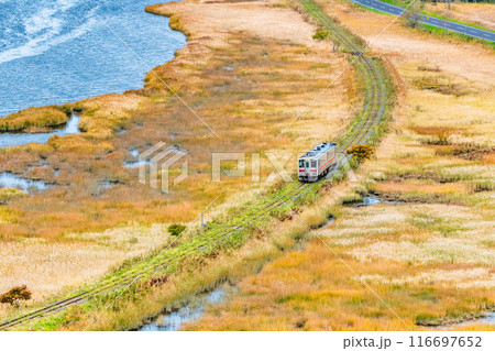 北海道 花咲線　秋色の別寒辺牛湿原を行く列車 116697652