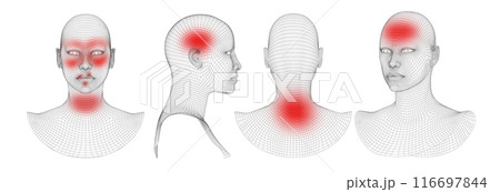 3D Wireframe Human Head Model with Pain Points 116697844