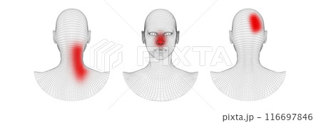 3D Wireframe Human Head Model with Pain Points 3D Wireframe Human Head Model with Pain Points 116697846