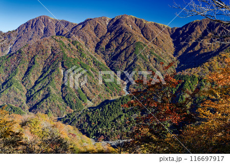 紅葉の鍋割山稜から見る蛭ヶ岳・丹沢山とユーシン渓谷 紅葉の鍋割山稜から見る蛭ヶ岳・丹沢山とユーシン渓谷 116697917
