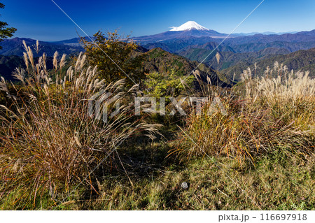 秋の丹沢・鍋割山から見る富士山 116697918