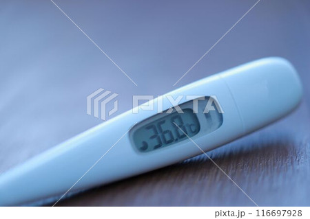 微熱が表示された体温計 116697928