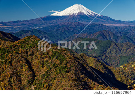 丹沢・鍋割山から見る紅葉の山並みと富士山 116697964