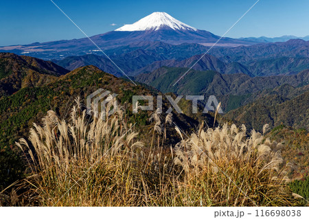 秋の丹沢・鍋割山から見る富士山 116698038