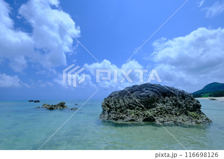 伊原間海岸のバリ岩 伊原間海岸のバリ岩 116698126
