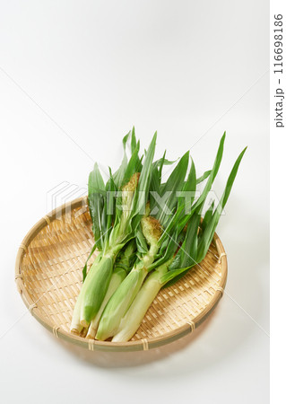 ヤングコーン　白背景 116698186