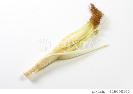 ヤングコーン　白背景 116698190