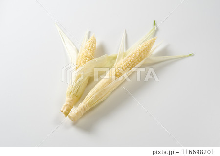 ヤングコーン　白背景 116698201