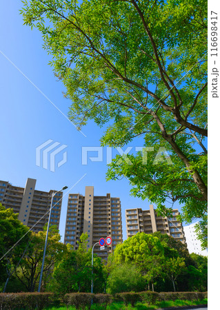 【大阪府】4月・北千里駅前周辺の街風景 116698417