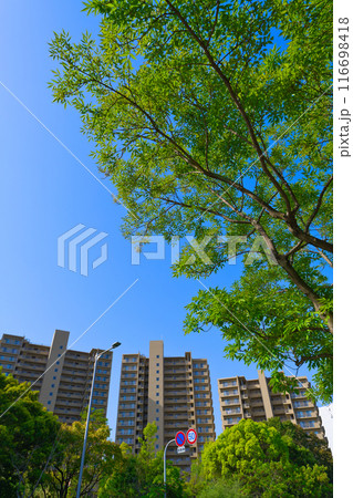 【大阪府】4月・北千里駅前周辺の街風景 116698418