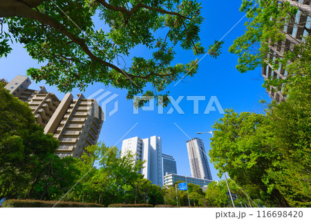 【大阪府】4月・北千里駅前周辺の街風景 116698420