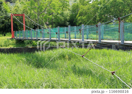 公園横の川にかかる小さな吊橋 116698816