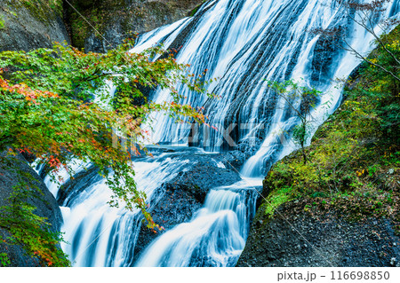 茨城　初秋の袋田の滝 116698850