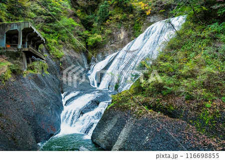 茨城　初秋の袋田の滝 116698855