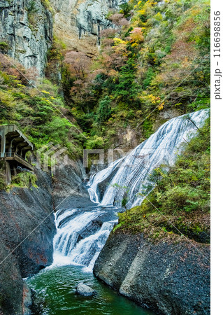 茨城 初秋の袋田の滝 茨城 初秋の袋田の滝 116698856