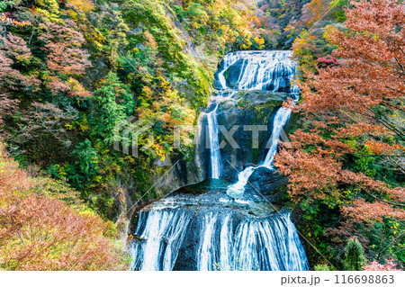 茨城 紅葉に染まる袋田の滝 茨城 紅葉に染まる袋田の滝 116698863