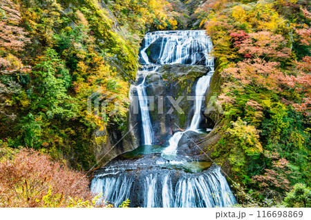 茨城 紅葉に染まる袋田の滝 茨城 紅葉に染まる袋田の滝 116698869