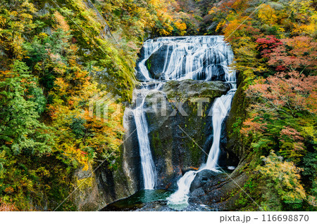 茨城 紅葉に染まる袋田の滝 茨城 紅葉に染まる袋田の滝 116698870