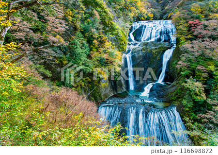 茨城 紅葉に染まる袋田の滝 116698872