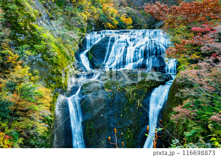 茨城 紅葉に染まる袋田の滝 116698873