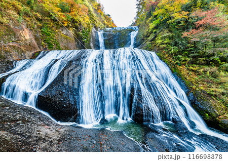 茨城 紅葉に染まる袋田の滝 116698878