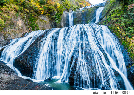 茨城 紅葉に染まる袋田の滝 116698895