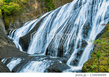 茨城 初秋の袋田の滝 茨城 初秋の袋田の滝 116698899