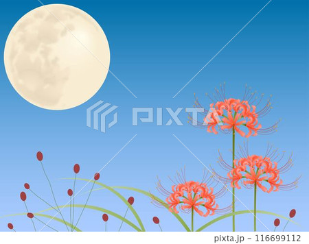 彼岸花と吾亦紅と月・横 彼岸花と吾亦紅と月・横 116699112