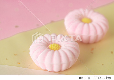 菊花の落雁 菊花の落雁 116699166