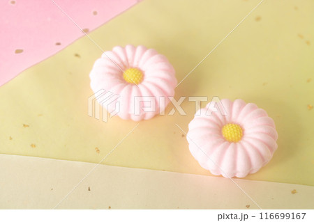 菊花の落雁 116699167