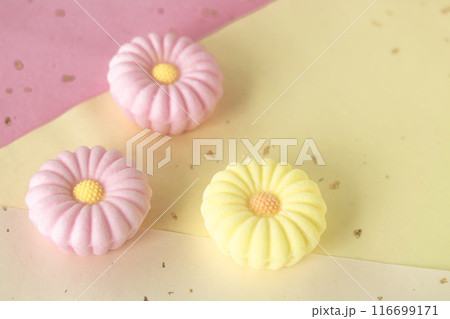 菊花の落雁 116699171