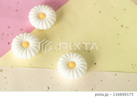 菊花の落雁 116699175