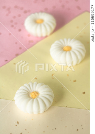 菊花の落雁 菊花の落雁 116699177
