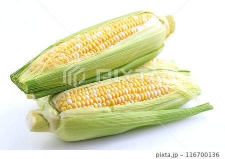 とうもろこし(ゆめのコーンビック85) とうもろこし(ゆめのコーンビック85) 116700136