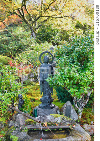 大原 実光院 旧理覚院庭園 美しい秋の庭(京都市左京区) 大原 実光院 旧理覚院庭園 美しい秋の庭(京都市左京区) 116700189