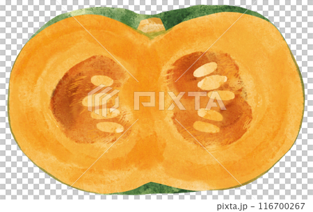 Pumpkin cut in half watercolor touch 116700267