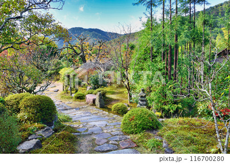 大原　実光院　旧理覚院庭園　美しい秋の庭（京都市左京区） 116700280