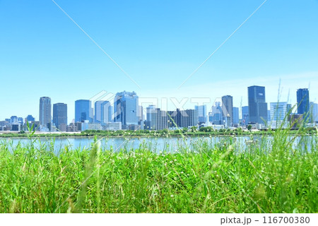 淀川河川敷より望む大阪の都市風景 淀川河川敷より望む大阪の都市風景 116700380