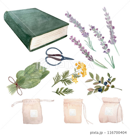 Lemon balm leafs, lavender, blue tansy, blueberry tea packs, green book and scissors watercolor set isolated on white. High quality hand drawn art. For packages, infusions, herbal medicine, stickers 116700404