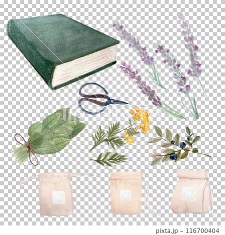 Lemon balm leafs, lavender, blue tansy, blueberry tea packs, green book and scissors watercolor set isolated on white. High quality hand drawn art. For packages, infusions, herbal medicine, stickers 116700404