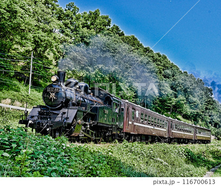 真岡鉄道の蒸気機関車 真岡鉄道の蒸気機関車 116700613