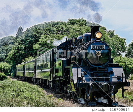 真岡鉄道の蒸気機関車 116700614